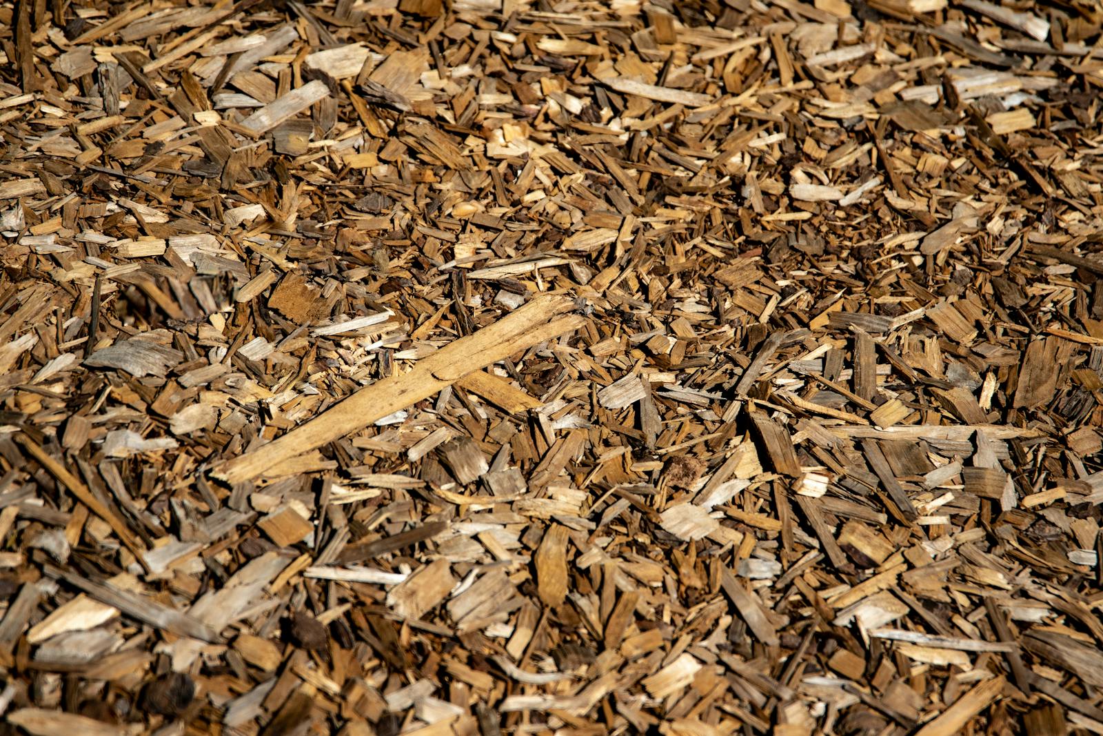 Freshly laid brown hardwood mulch with clean edge against turf.